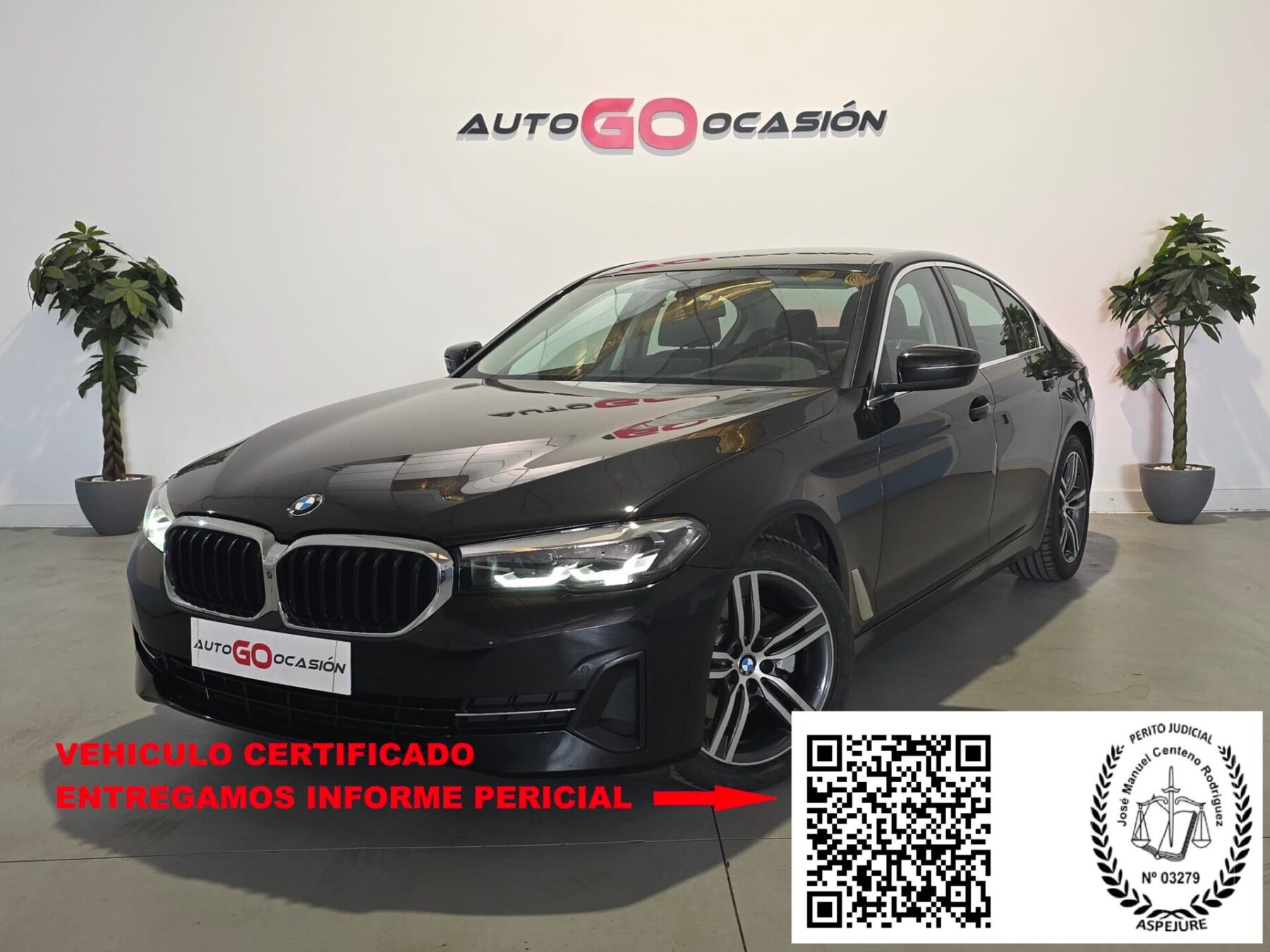 BMW Serie 5 520d MILD HYBRID