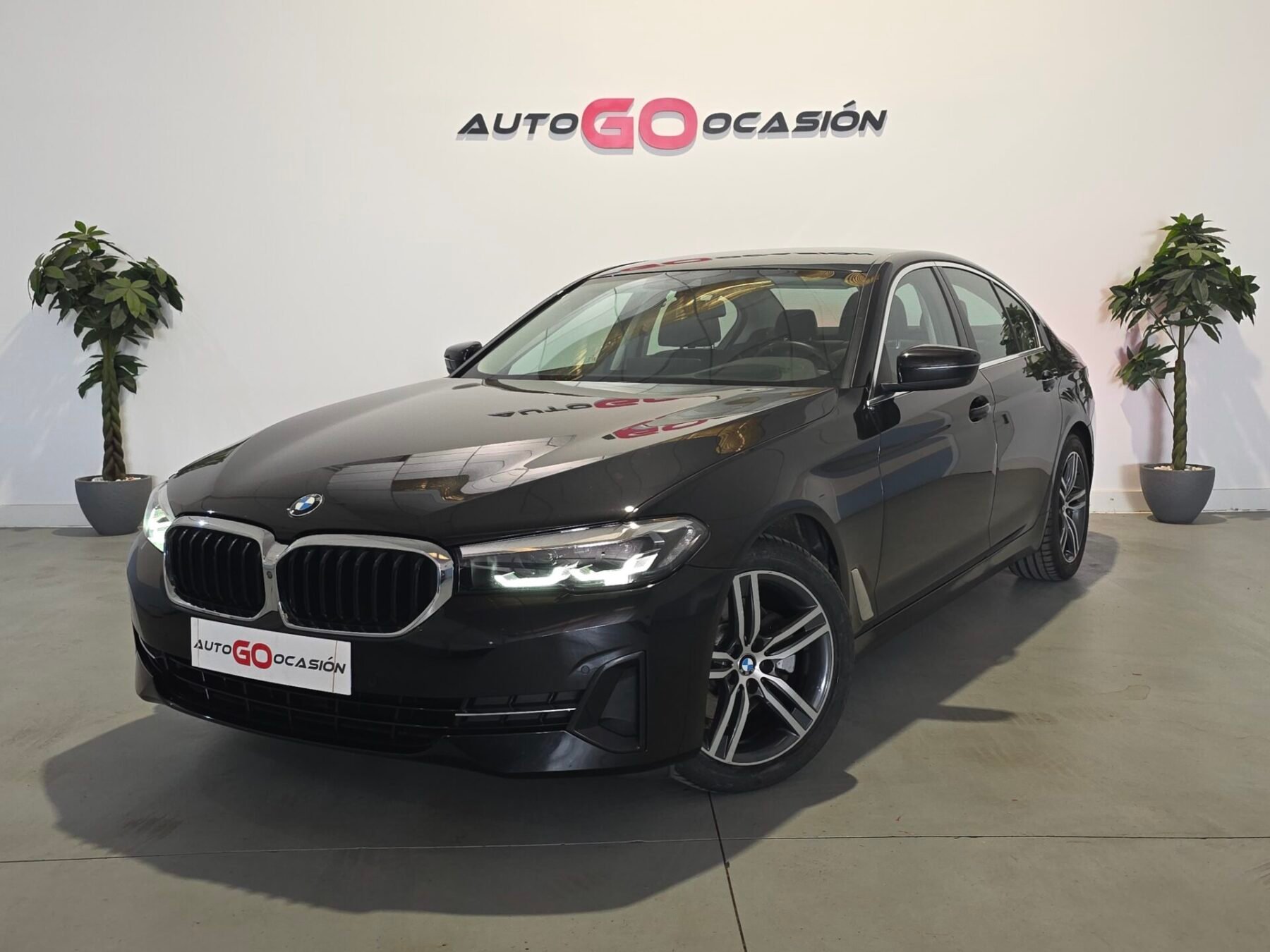 BMW Serie 5 520d MILD HYBRID