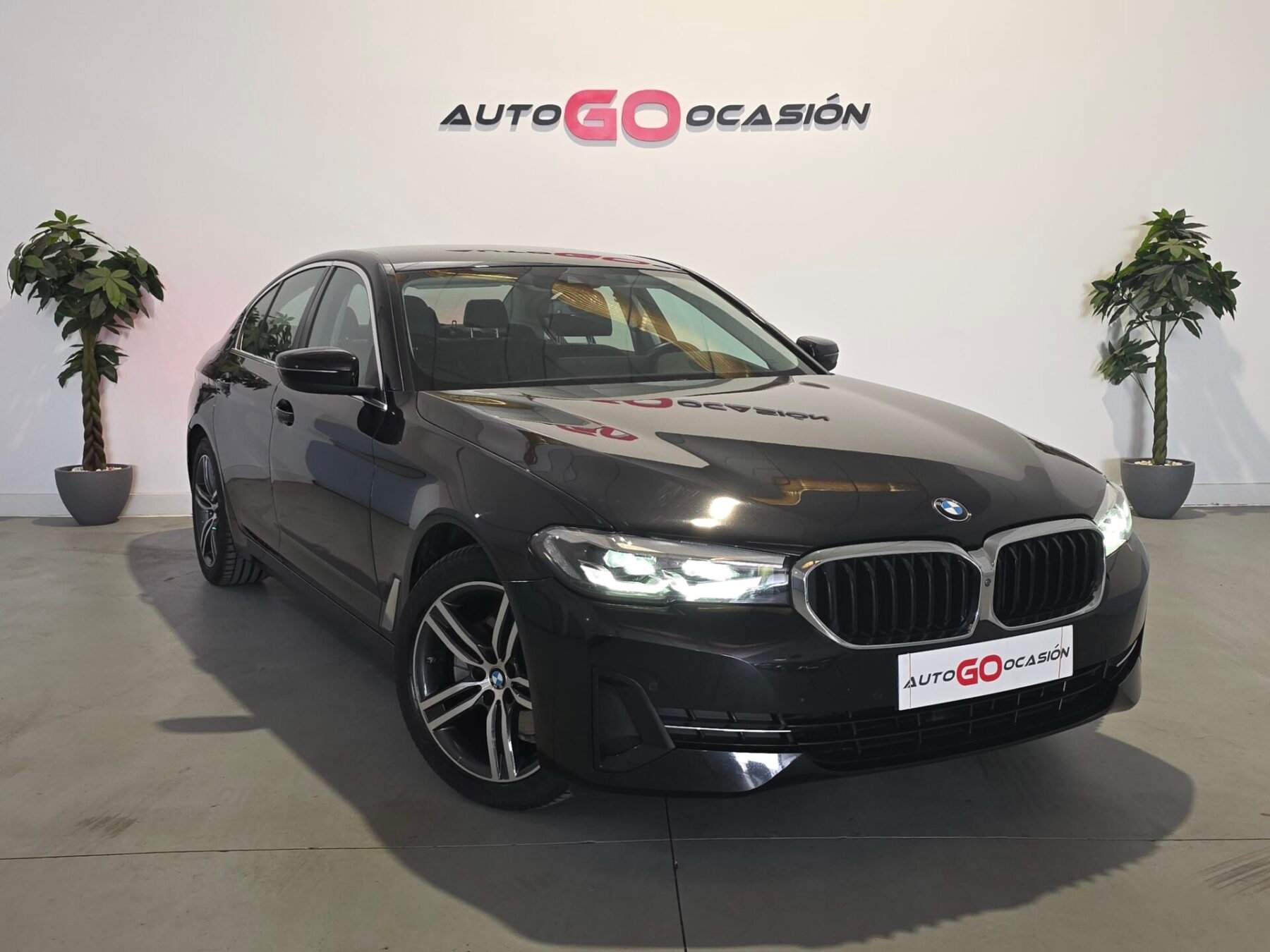 BMW Serie 5 520d MILD HYBRID