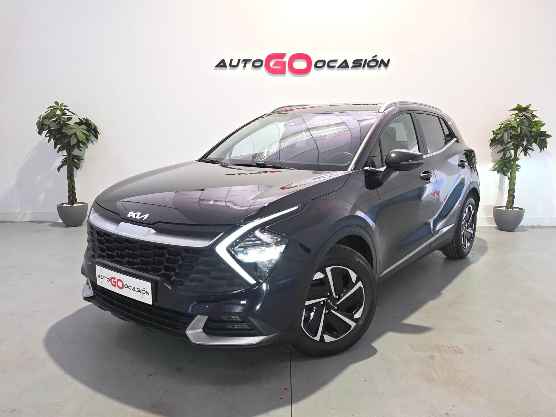 KIA SPORTAGE 1.6 CRDi MHEV Business 4x4
