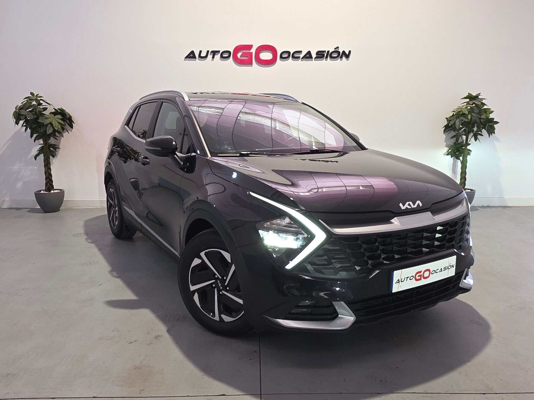 KIA SPORTAGE 1.6 CRDi MHEV Business 4x4