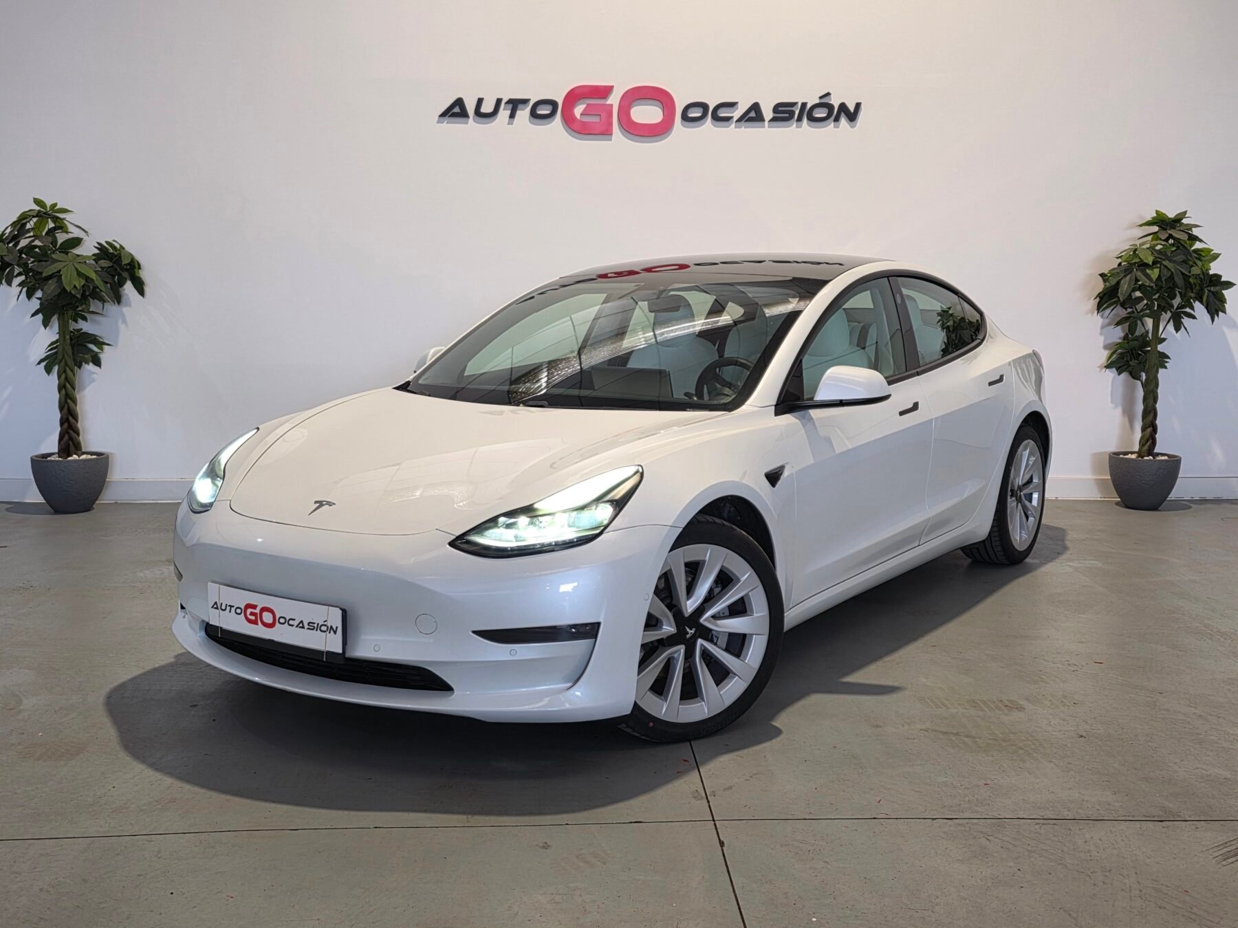 TESLA MODEL 3 Gran Autonomia 4WD