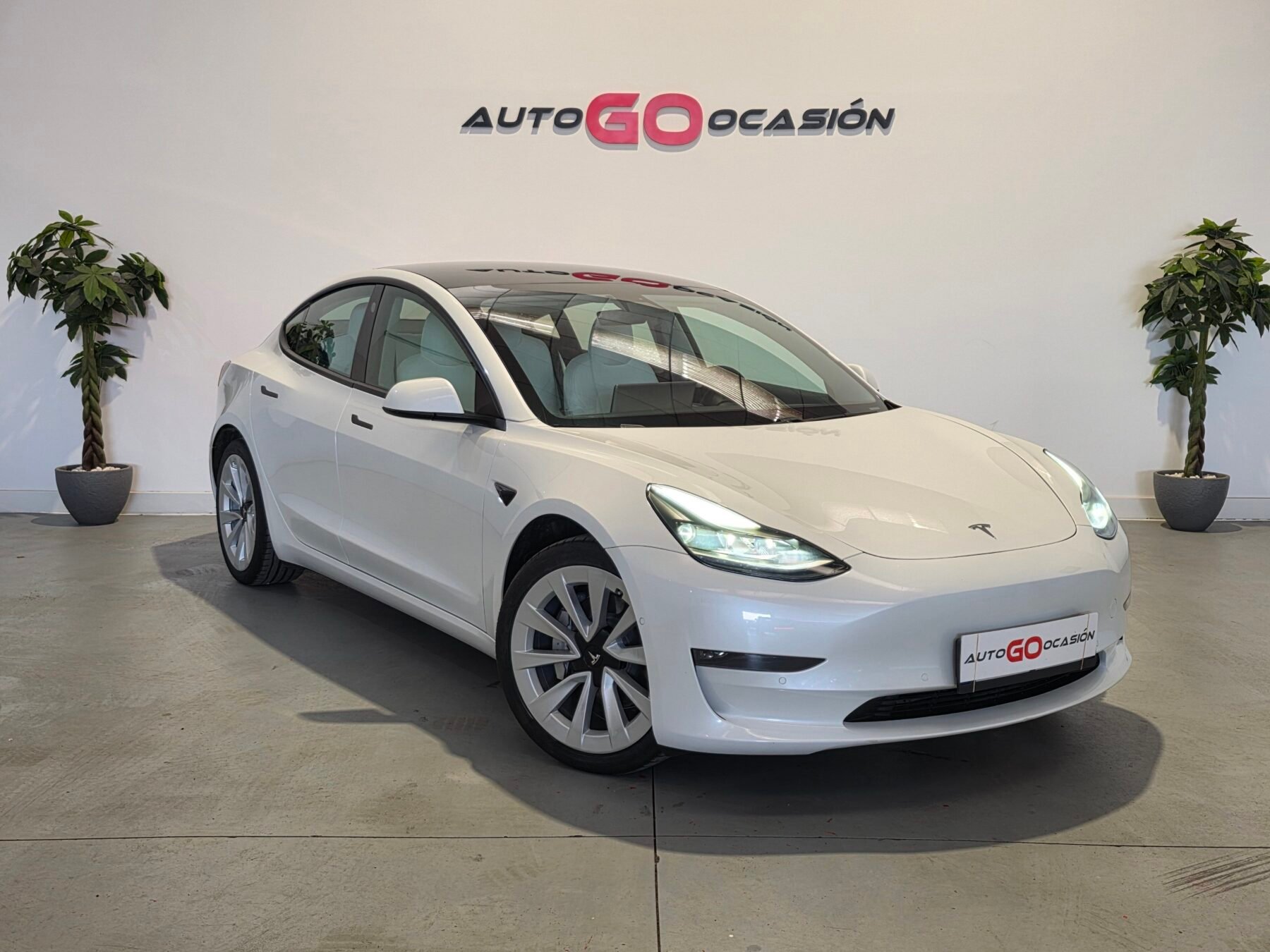 TESLA MODEL 3 Gran Autonomia 4WD