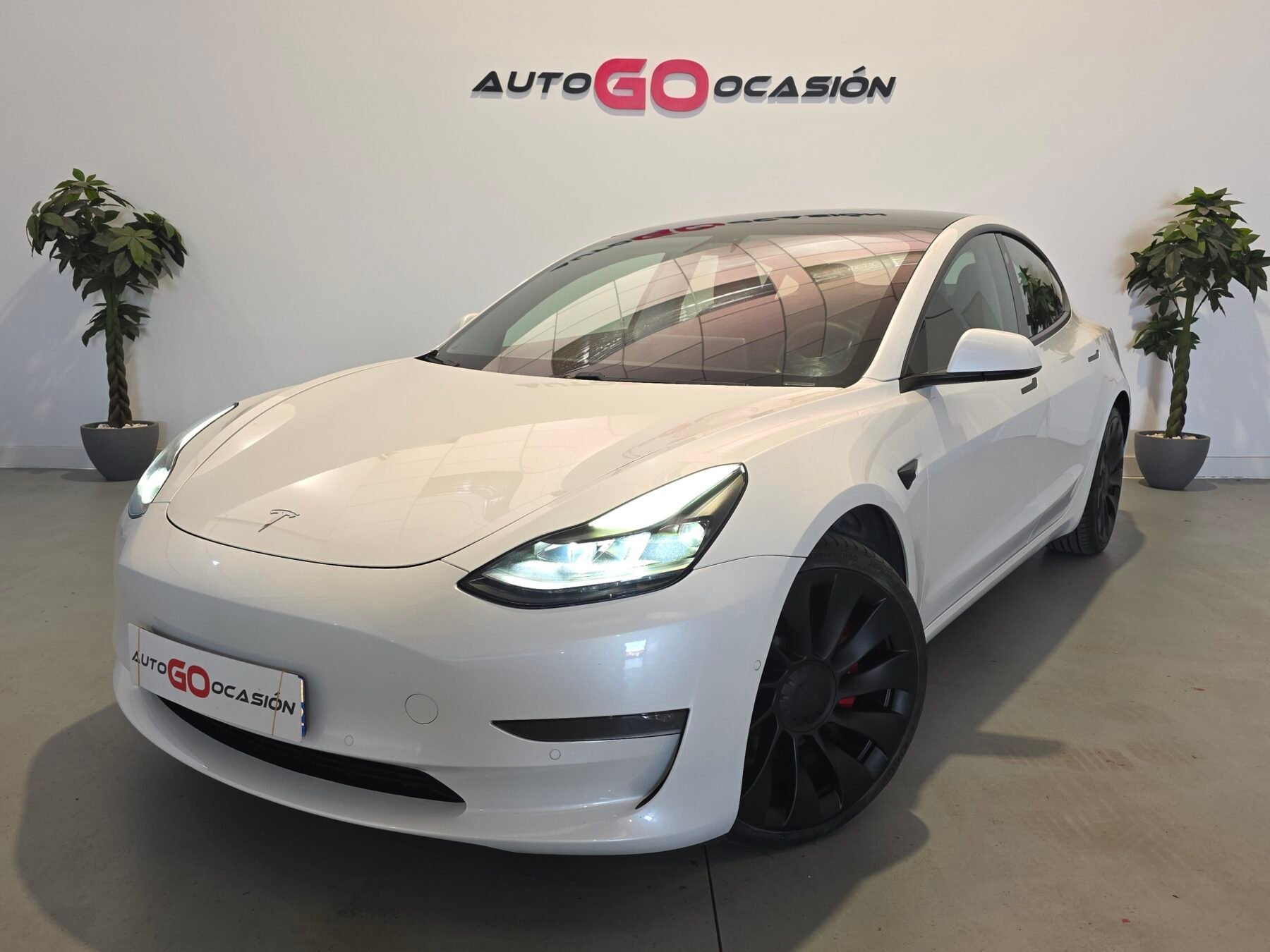 TESLA MODEL 3 PERFORMANCE