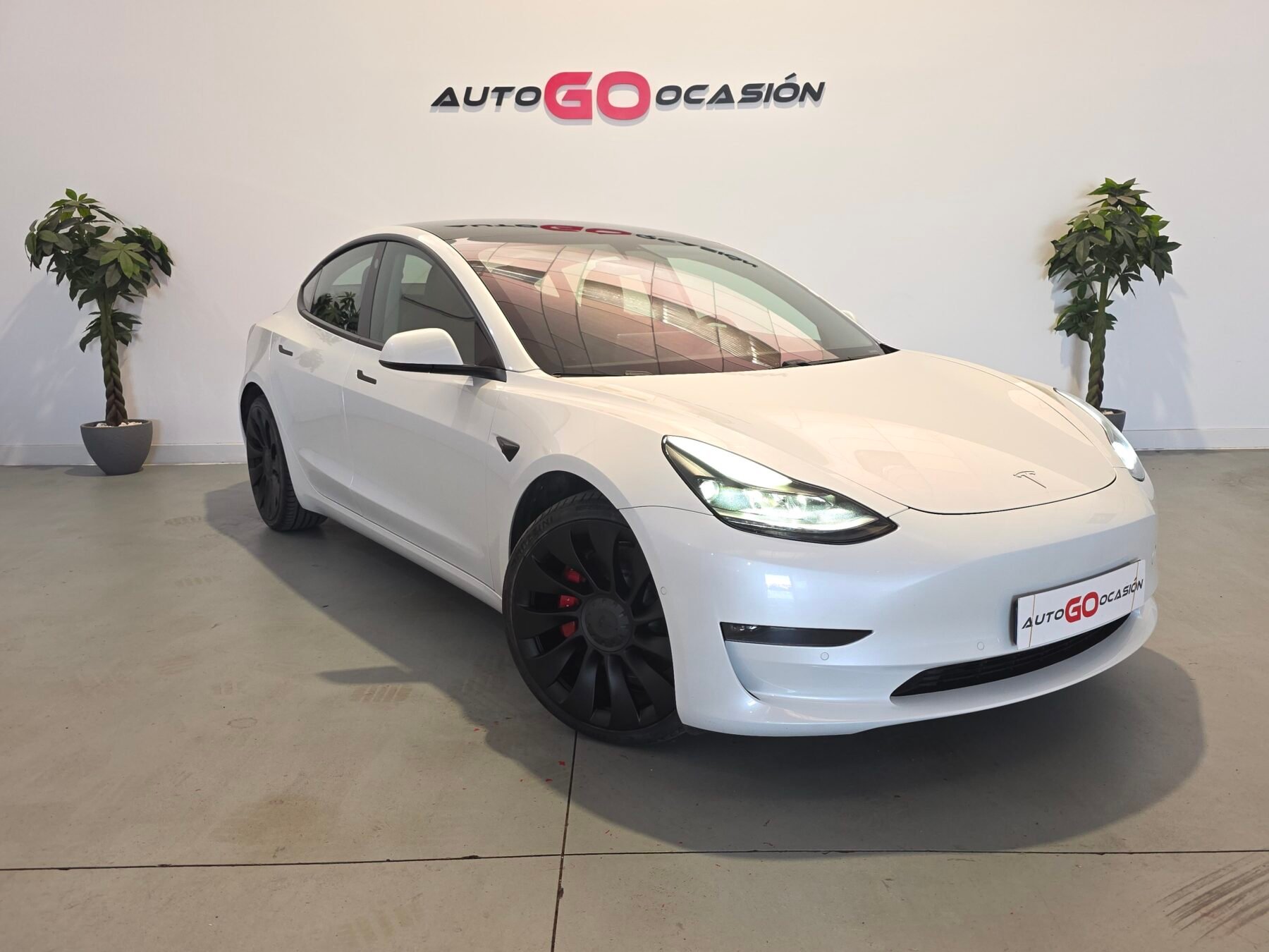 TESLA MODEL 3 PERFORMANCE