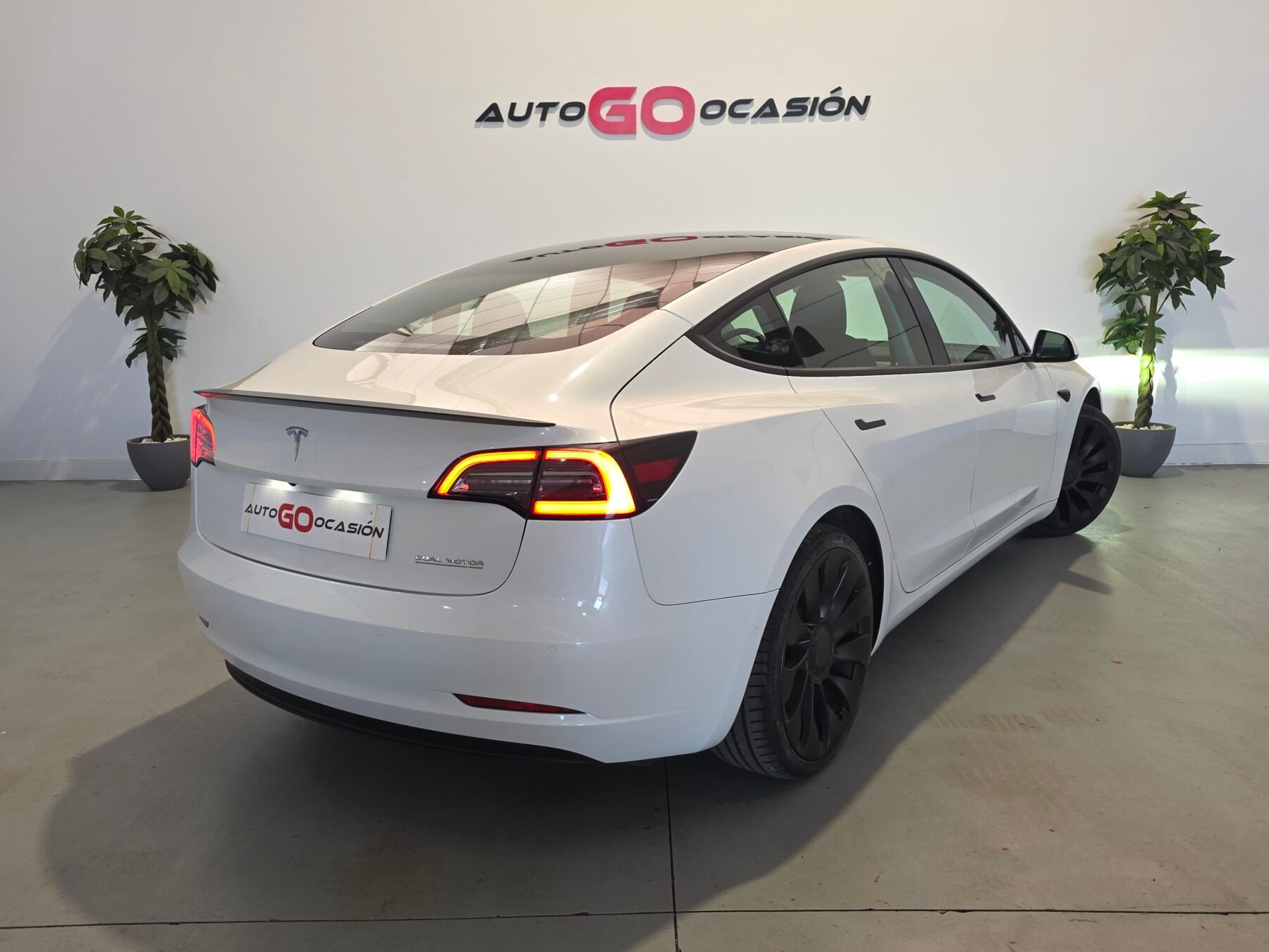 TESLA MODEL 3 PERFORMANCE