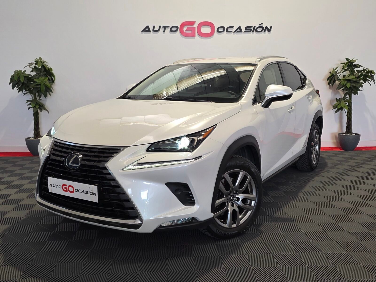 LEXUS NX 2.5 300h Executive Navigation 4WD