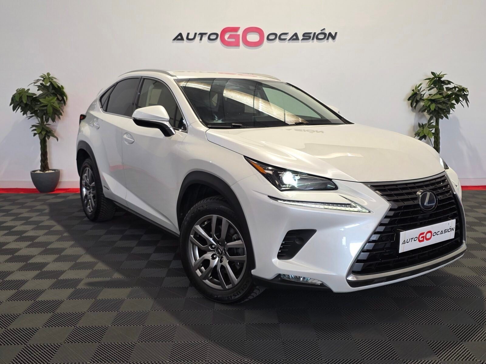 LEXUS NX 2.5 300h Executive Navigation 4WD
