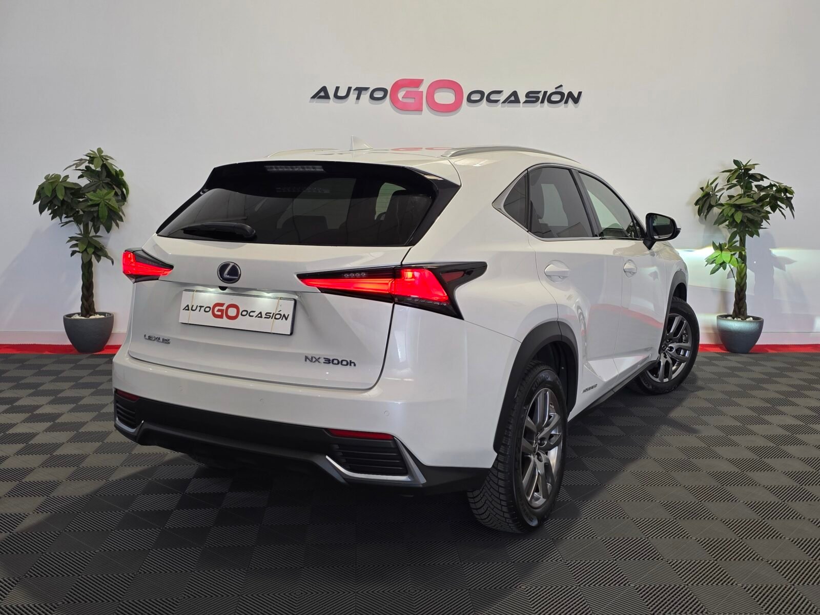 LEXUS NX 2.5 300h Executive Navigation 4WD